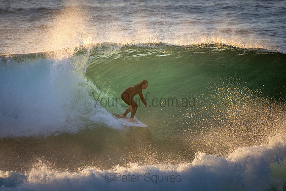 Whale Beach 5//6/20
