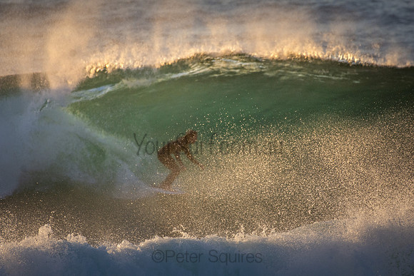 Whale Beach 5//6/20