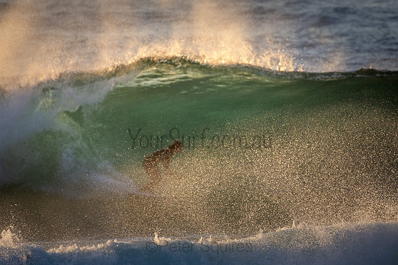 Whale Beach 5//6/20