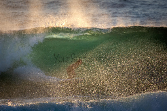 Whale Beach 5//6/20