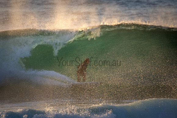 Whale Beach 5//6/20