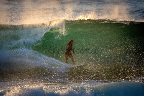 Whale Beach 5//6/20