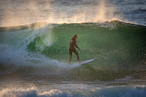 Whale Beach 5//6/20