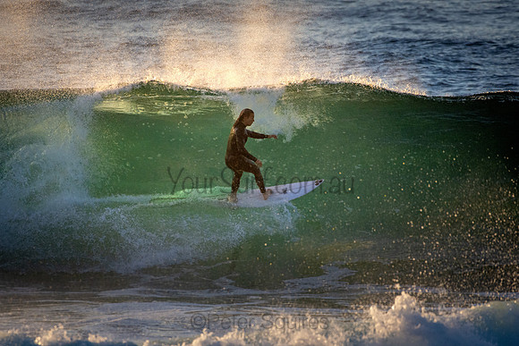 Whale Beach 5//6/20