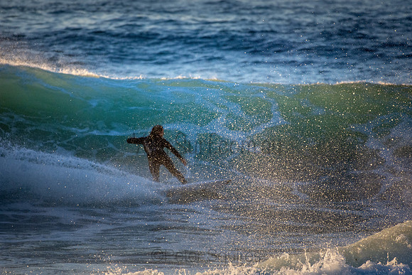 Whale Beach 5//6/20