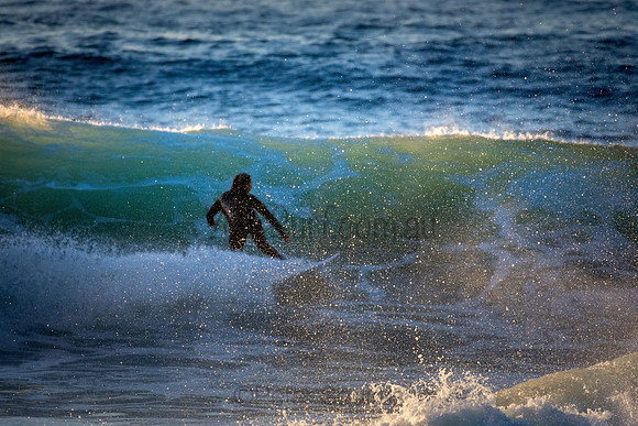 Whale Beach 5//6/20