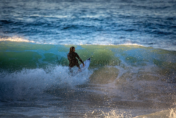 Whale Beach 5//6/20