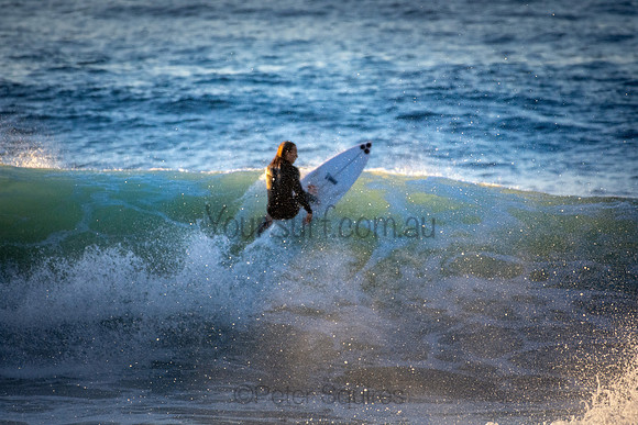 Whale Beach 5//6/20