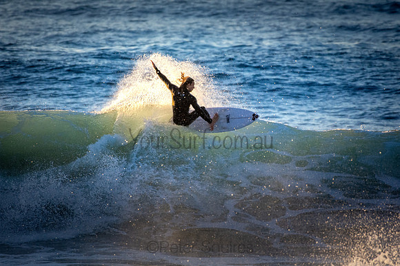 Whale Beach 5//6/20