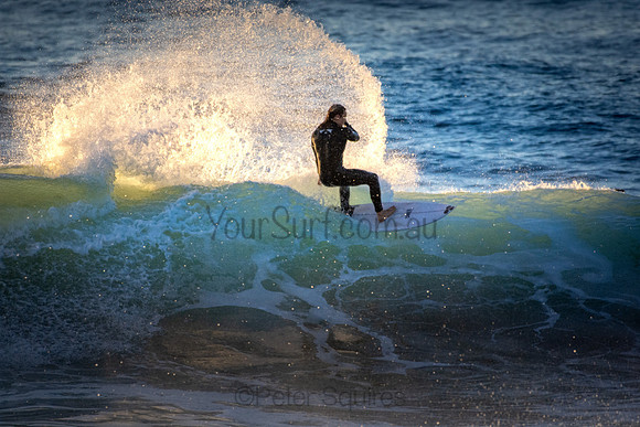Whale Beach 5//6/20