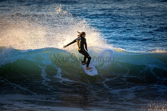 Whale Beach 5//6/20