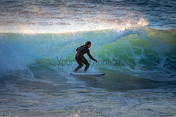 Whale Beach 5//6/20