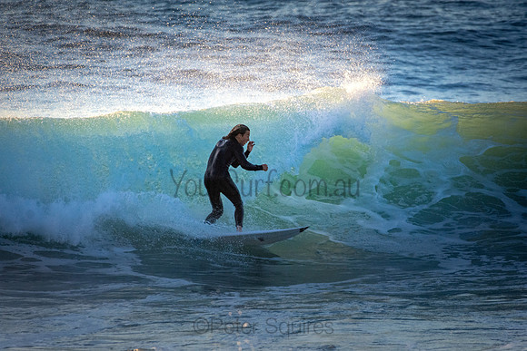 Whale Beach 5//6/20