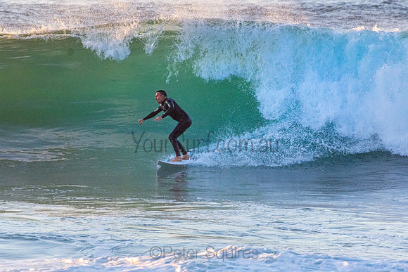 Whale Beach 5//6/20