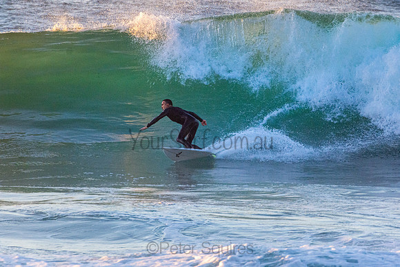 Whale Beach 5//6/20