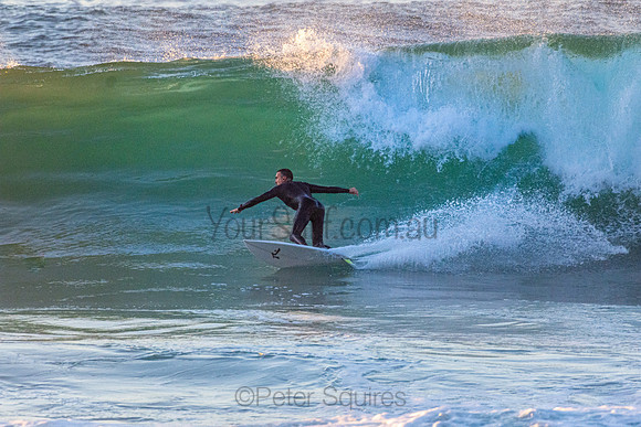 Whale Beach 5//6/20