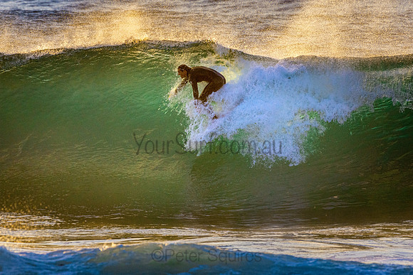Whale Beach 5//6/20