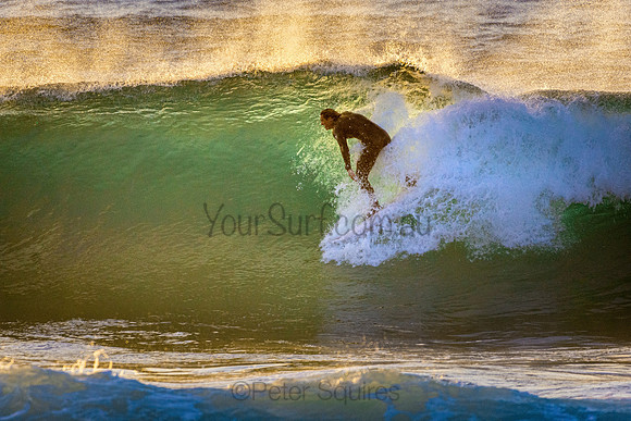 Whale Beach 5//6/20