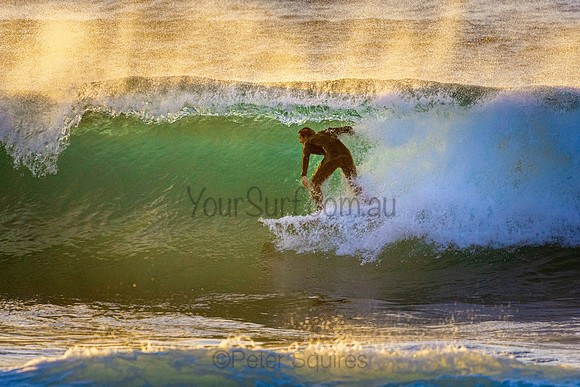 Whale Beach 5//6/20