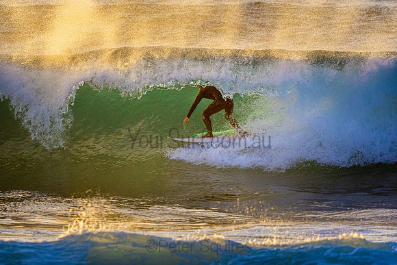 Whale Beach 5//6/20