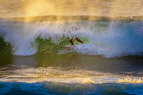 Whale Beach 5//6/20