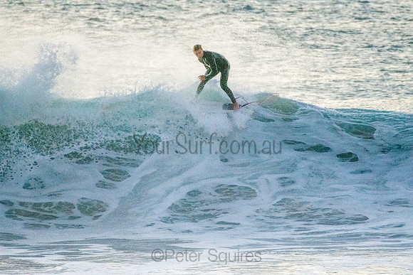 Whale Beach 5//6/20