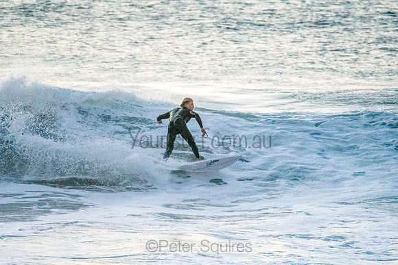 Whale Beach 5//6/20