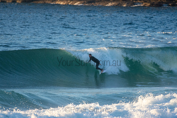 Whale Beach 5//6/20