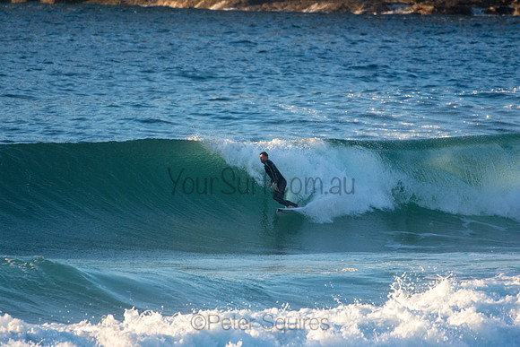 Whale Beach 5//6/20