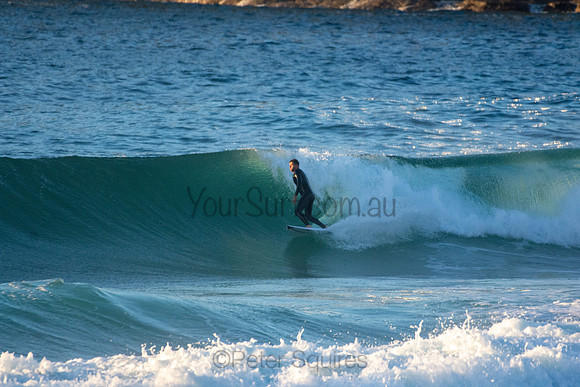 Whale Beach 5//6/20