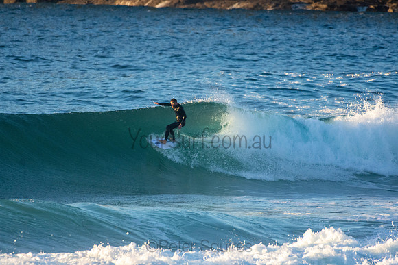 Whale Beach 5//6/20