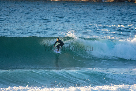 Whale Beach 5//6/20
