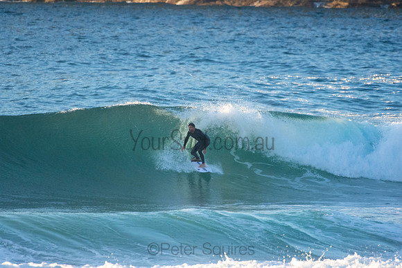 Whale Beach 5//6/20