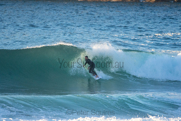 Whale Beach 5//6/20
