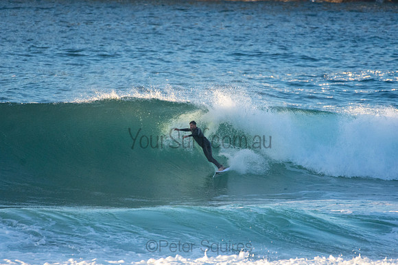Whale Beach 5//6/20