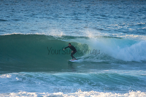 Whale Beach 5//6/20