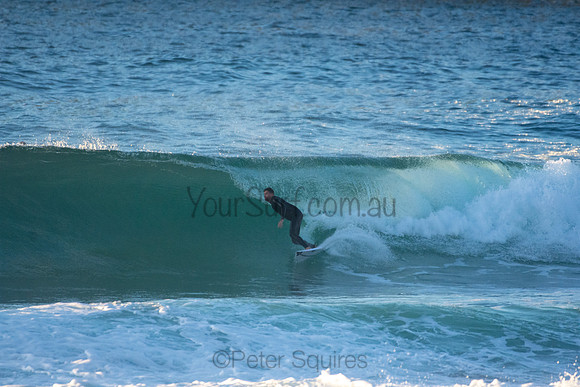 Whale Beach 5//6/20