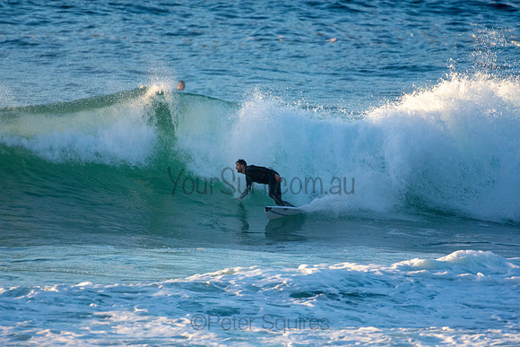 Whale Beach 5//6/20