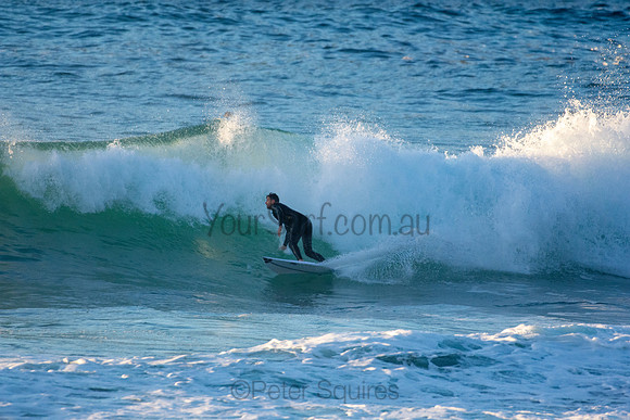Whale Beach 5//6/20