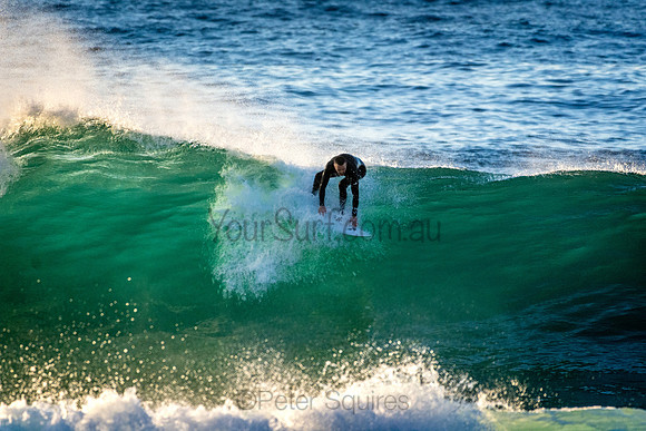 Whale Beach 5//6/20