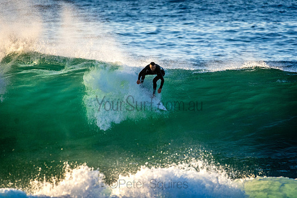 Whale Beach 5//6/20