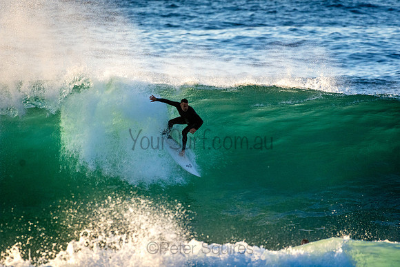 Whale Beach 5//6/20