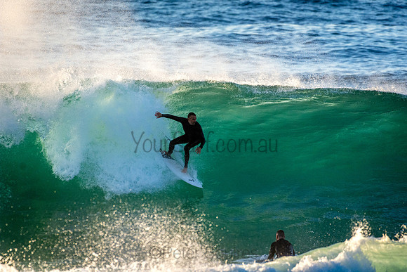 Whale Beach 5//6/20