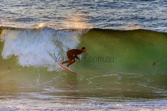 Whale Beach 5//6/20