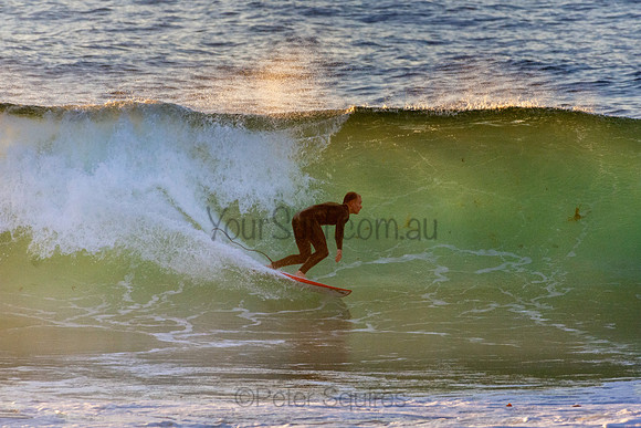 Whale Beach 5//6/20