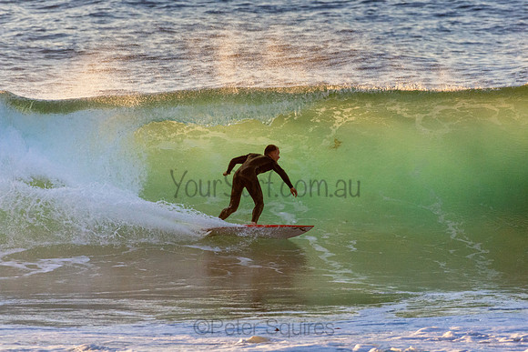 Whale Beach 5//6/20