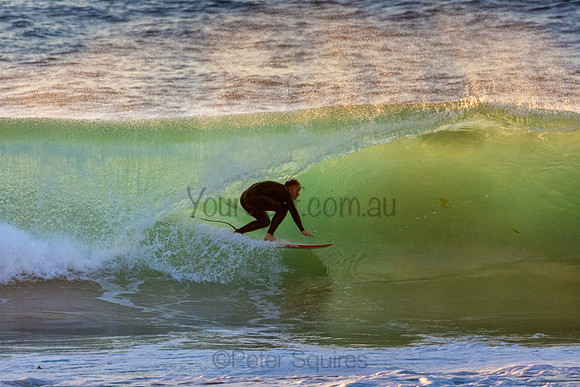 Whale Beach 5//6/20