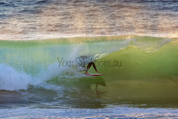 Whale Beach 5//6/20
