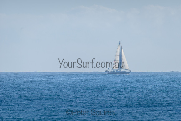 Palm_Beach_211214_074354_0049