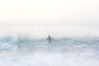 Whale Beach 11/6/20